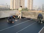 Customized Laminated Material PE Coated Metalized Film for Heat Insulation