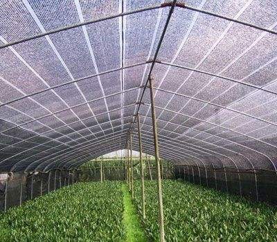 Waterproof 30gsm 0.4m-6m Plastic Shade Netting HDPE Nursery Weed Barrier