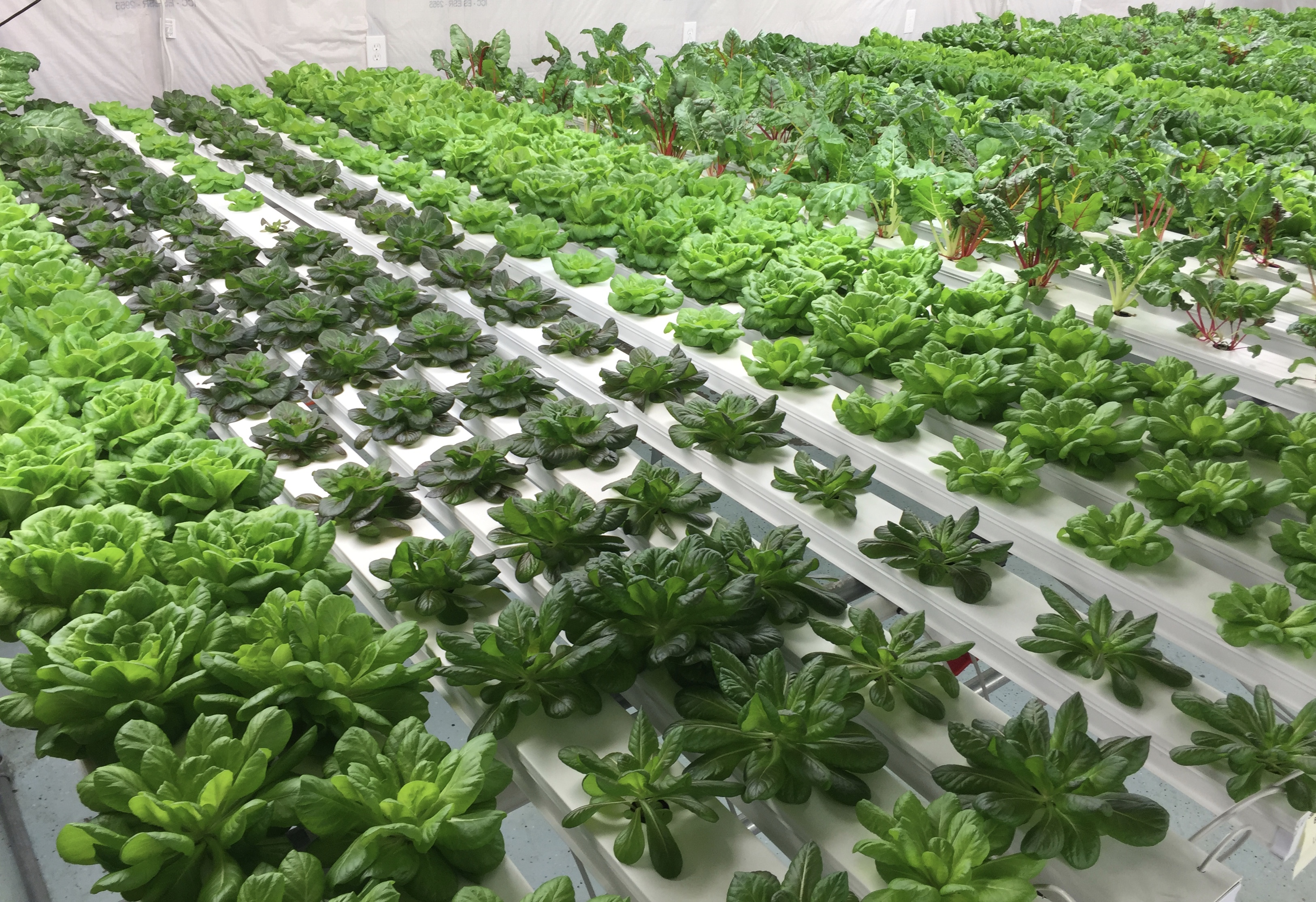 Temperature Suitable Agricultural Greenhouse Farming Pipe Hydroponics Rectangular Round Plastic Tube