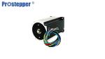 120 Watt Brushless DC Motor