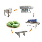 Industrial Fruit Vegetable Washing And Drying Machine Washer And Dryer Line