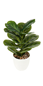 fake plants for bathroom