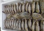 Bulk 200g Three Spot Swimming Crab Fresh Frozen Seafood