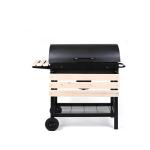 Professional Restaurant Charcoal Grill Gas BBQ with Powder Coated Vertical Style