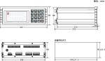 Packing scale instrument LZGM8804CD.