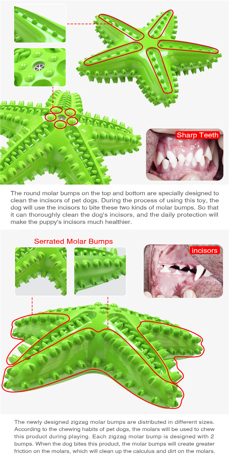 Natural Rubber New Design Starfish Shape Dog Chew Toy Dental Cleaning Toothbrush Squeaky Toy Yellow Green Blue