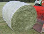 HDPE Well-Knitted White Bale Wrap Net