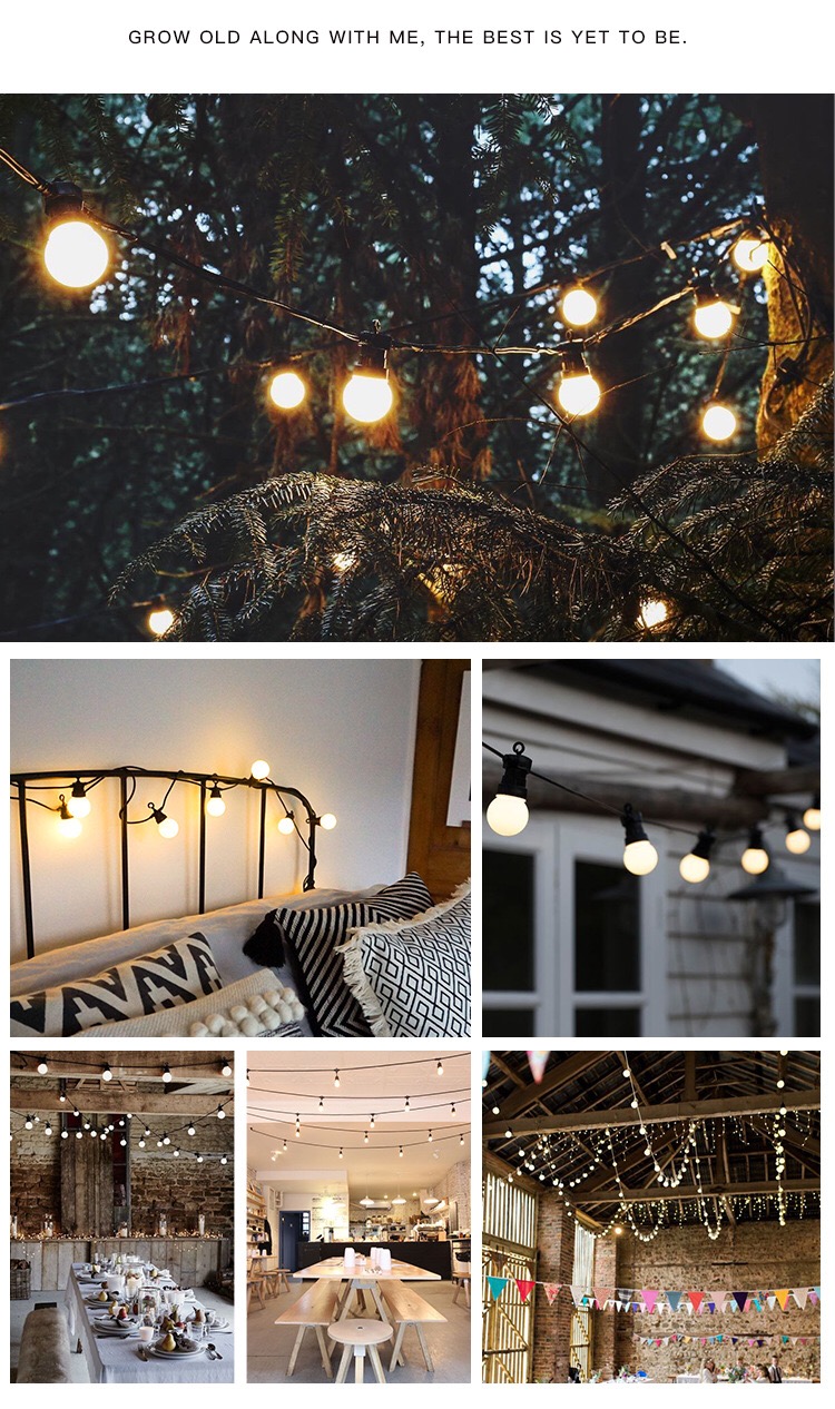 G50 LED String Lights Globe Hanging Loops Suspension Type Black Wire Connectable Indoor Outdoor Patio Lights Waterproof