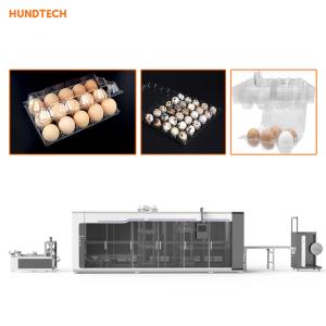 Wholesale Vacuum Organization Egg Tray Making Machine Plastic Thermoforming Equipment from china suppliers