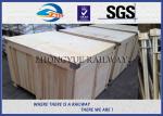 GB Standard Hot Dip Zinc Railway HEX Bolt With 24x3x1100mm 45# Material