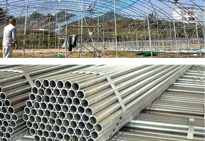 Single Layer PO Commercial Multi Span Polycarbonate Sheet Greenhouse for Agriculture