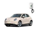 Dark Interior 2024 5 Door 5 Seats Electric EV Car Great Wall Motors ORA Cat