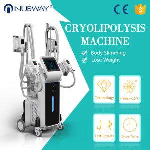 Wholesale Professional cryolipolysis machine price , weight loss cryo slimming machine from china suppliers