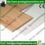 Location fix pacakge EPE Foam Sheet Extrusion Plant(FCFPM-90)