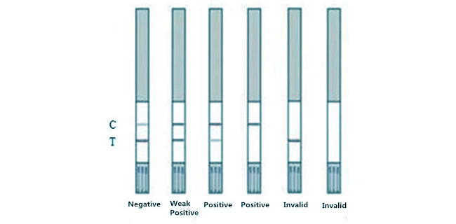 Tylosin Milk Rapid Test Kit 96 Tests/Kit For Fresh Milk Powder