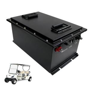 Wholesale Rechargeable 51.2V 100Ah LiFePO4 Battery Pack For Golf Cart / EV from china suppliers