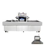 Automatic Horizontal Sealing Machine Meat Fish Vacuum Map 600kg Weight