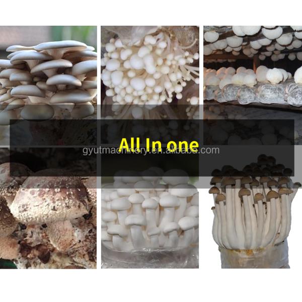 Multi Function Oyster Mushroom Spawn Sack Filling Machine for Mushroom Planting