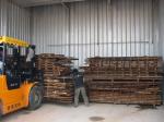 80m3 Fully Auto Wood Drying Equipment, Industrial Wood Dryers 800 Mm Diameter