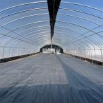 Portable Hot Dip Galvanized Steel Auto Light Dep Greenhouse For Herb