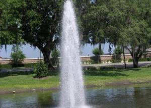 Wholesale 1&quot; DN25 Brass Water Fountain Spray Jet Display Spray Diameter 0.3m from china suppliers