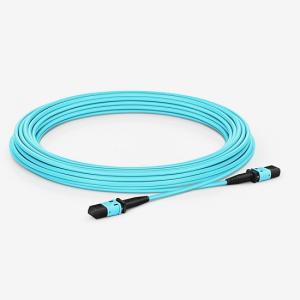 Wholesale Low PDL Om3 Fiber Patch Cord , MPO Female Type B LSZH Multimode Fiber Optic Cable from china suppliers