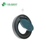 Water Industrial Usage PVC True Union Ball Check Valve Swing Check Valve with