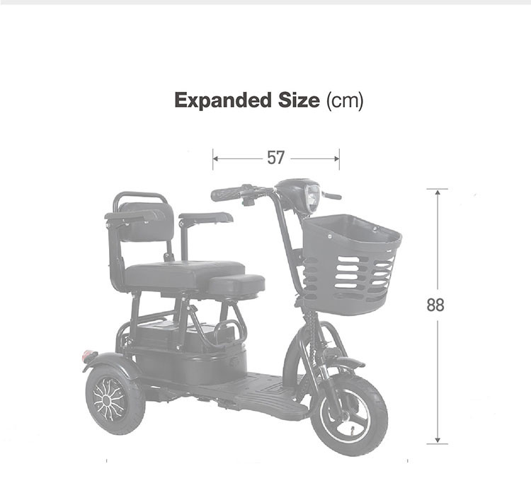 Three Wheel Electric Tricycle Bike 60V 500W Electric Tricycle For Cargo