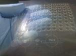 Diameter 5mm Sapphire Cover Glass 0.3mm Thickness