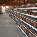 Most Popular A type Chicken Layer Battery Cage For Sale In Uganda 20000 birds