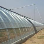 Continuous Heating Saw Tooth Roof PE/Pep Film Greenhouse with 0.2mm Film