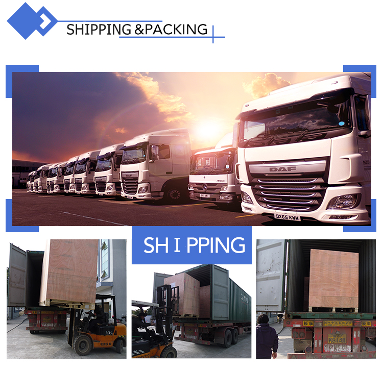 Ampule Vial Filling And Sealing Machine Bottle Packaging Machines
