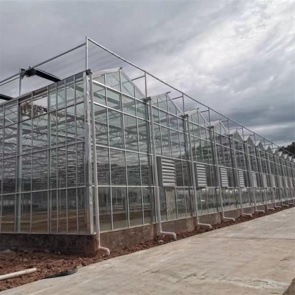 Heating System Serra Di Vetro Multi-Span Greenhouse Venlo Greenhouse Spare Parts