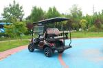 Electric Golf Cart With 48V Battery System Fast Charging Capability Powerful AC