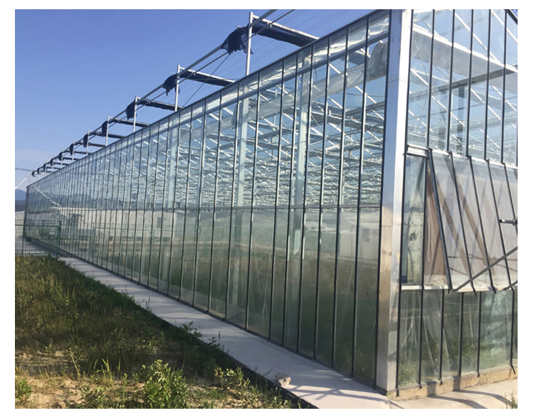 Stable Structure Glass Greenhouse for Growing Vegetables Tomato Skeleton Greenhouse