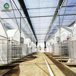 Wholesale Herbs 200 Micron PE 30m Light Deprivation Greenhouse from china suppliers