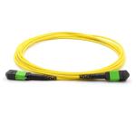MPO / MTP Fiber Optic Jumper Cables Single Mode G657A G652D Multi Mode OM3 OM4