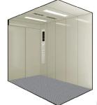Hairline Stainless Steel Glass Car Elevator 1200KG VVVF Drive
