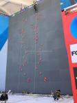 450*290*110mm Large Fiberglass Material Boulder Wall Climbing Holds