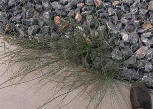 Wholesale Scour Resistant Retaining Wall 2.7mm Plastic Coated Mesh from china suppliers