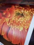 Length 30m Inkjet Printable Canvas Printable Polyester Canvas Fabric 260gsm