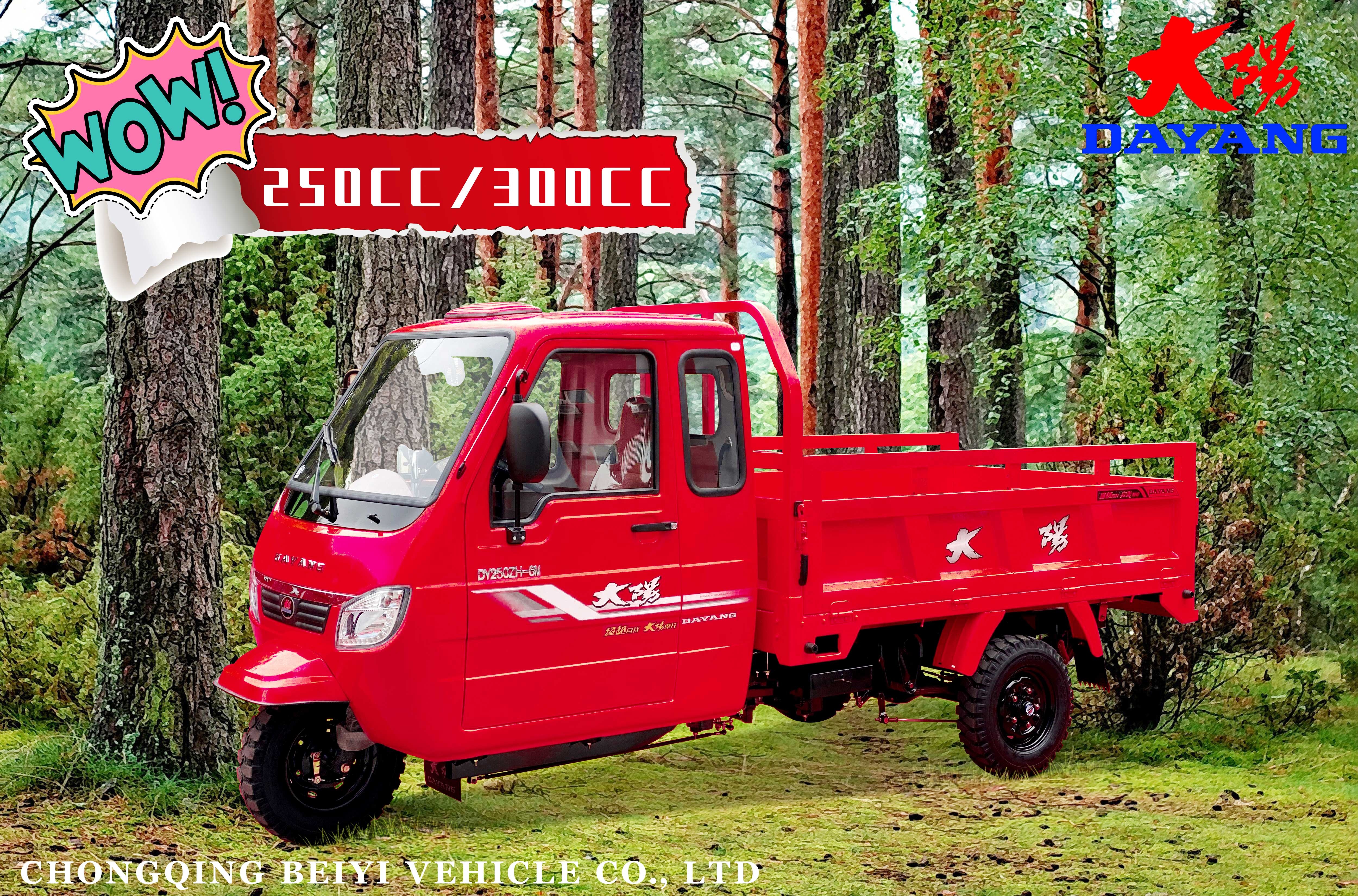 Experience the Power of ≥25° Grade Ability Gas Motorcycle Tricycles 250cc Displacement