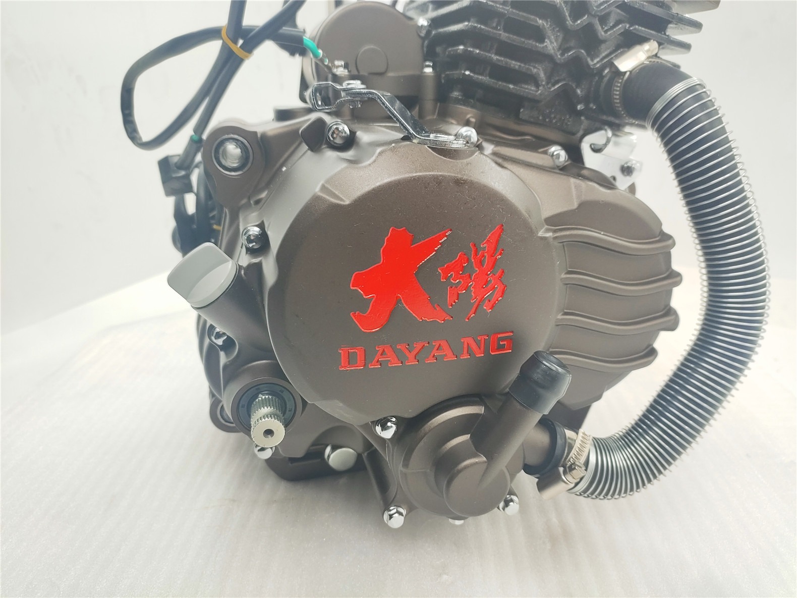 250CC DAYANG Motorcycle Engine Single Cylinder 4 Stroke Wolf water-cooled CDI Ignition