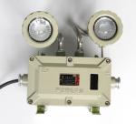 3W*2 ExProof Emergency Light Built-In Maintenance-Free Battery Pack ≥120min