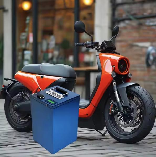 Custom 20S 60V 30Ah Lithium LiFePO4 Battery Auto Rickshaw Electric Motorbike