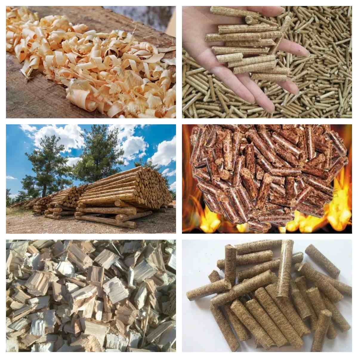 Biomass Pelletizing Line With 2-10mm Final Pellet Biomass/Wood Pellet Production Line Pellet Manufacturing Equipment