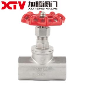 Wholesale 1500wog NPT End SS304 Globe Valve for Pump System 30-Day Refund Guarantee from china suppliers