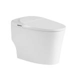 Women Modern Smart Toilet Electric Automatic Flush Intelligent Closet WC