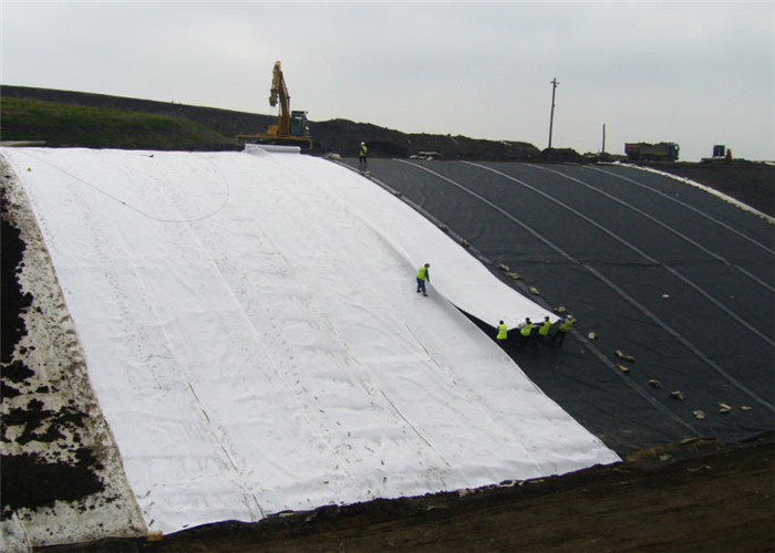 PP Roll Type Non Woven Fabric Geotextile Anti Seepage