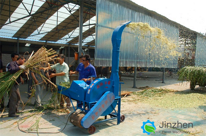 Small Farm Use Straw Chaff Cutter Corn Grass Crushing Machine For Cow Horse Feeding
